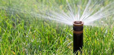 Types of Residential Irrigation Systems | Garden lovers