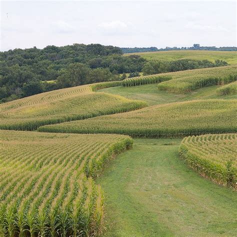 Corn Field | Iowa farms, Country field, Fields photography