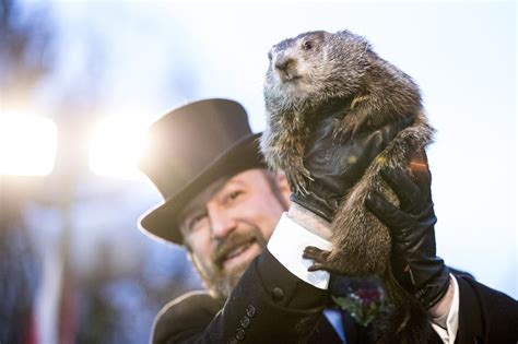 Famous Groundhogs Like Punxsutawney Phil | Groundhog Names 2024