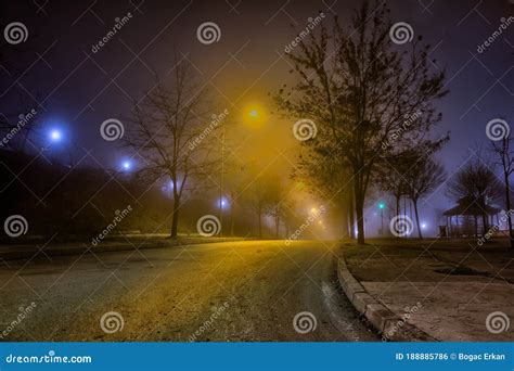 A foggy road with lights. stock photo. Image of dusk - 188885786