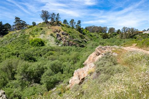 Glen Canyon Park- A Virtual Stroll – Harvey Milk Photo Center