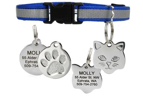 Cat Collars with Name Tags | Reflective & Breakaway – GoTags