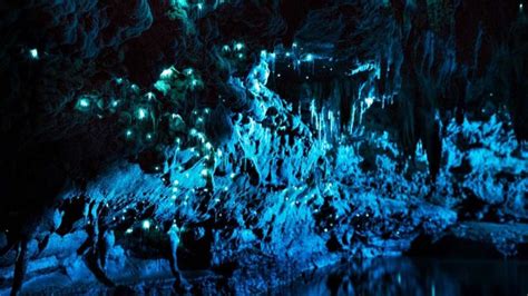 Waitomo Cave Glowworm Cave New Zealand Location Facts History How To ...