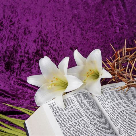 Meaning behind Easter Lillies | Courageous Christian Father