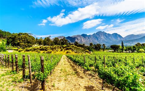 Wat te doen in Franschhoek: 10 tips! | Wereldreizigersclub