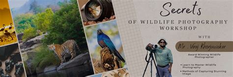 WORKSHOP EXPERIENCE- SECRETS OF WILDLIFE PHOTOGRAPHY - Nature Explorers ...