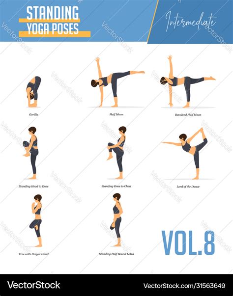 Yoga poses for balancing poses and standing poses Vector Image