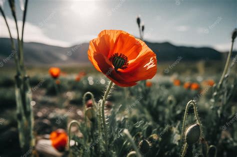 Premium Photo | A field of flowers with a mountain in the background