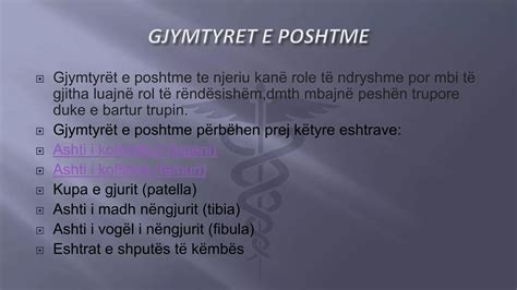 Skeleti i njeriut | PPT