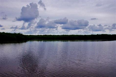 A Day in the Everglades – Everglades National Park – Homestead, Florida ...