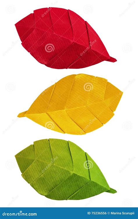 Origami autumn leaves stock photo. Image of white, isolated - 75236556