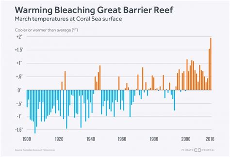 Coral spawning gives scientists hope for Great Barrier Reef | World Economic Forum