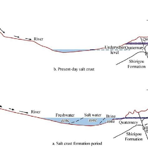 A salt crust formation pattern. | Download Scientific Diagram