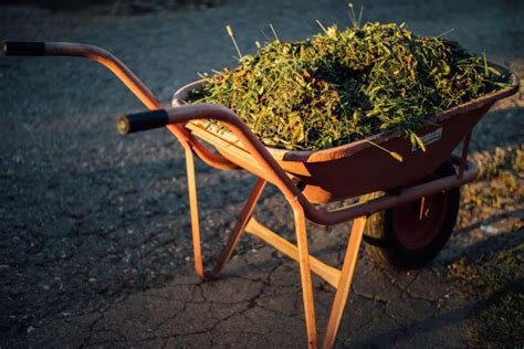 Lawn clippings in the compost? Sure, but there's a catch!