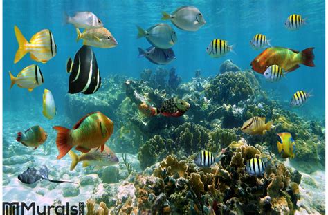 Panorama in a coral reef with shoal of fish Wall Mural