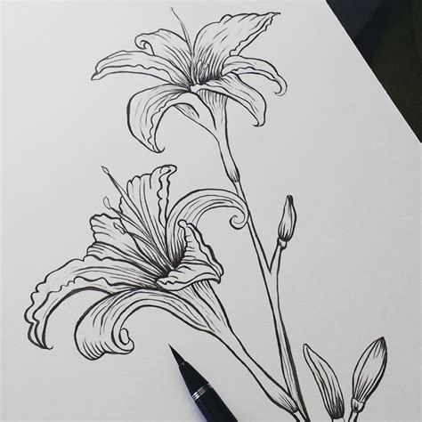 Pen And Ink Watercolor Flowers at PaintingValley.com | Explore collection of Pen And Ink ...