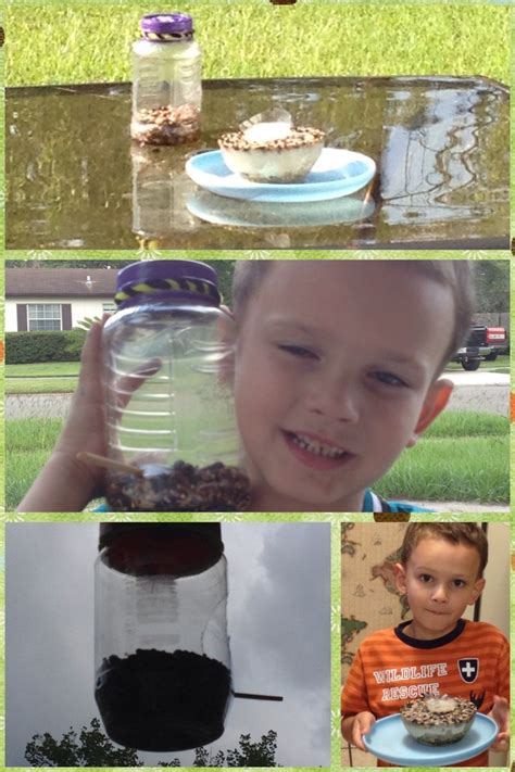 Bird feeder from a jelly jar. Quick and easy. And B made one by freezing birdseed and water ...