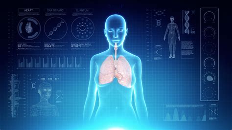 Futuristic Interface Display of Female Body Scan with Human Respiratory ...