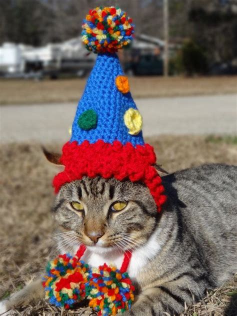 Birthday Party Cat Hat Costume Cats and Small by iheartneedlework | Dog birthday hat, Cat ...