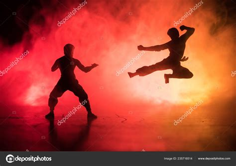 Karate Athletes Fighting Scene Character Karate Posing Figure Artwork Decoration Stock Photo by ...