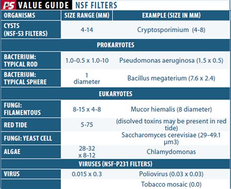 Making Sense of Water Filter Certification - Practical Sailor