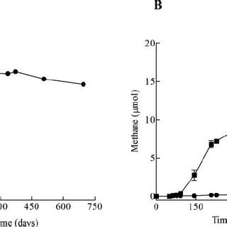 Methane production in the methanogenic enrichment cultures(EC): (A) The ...