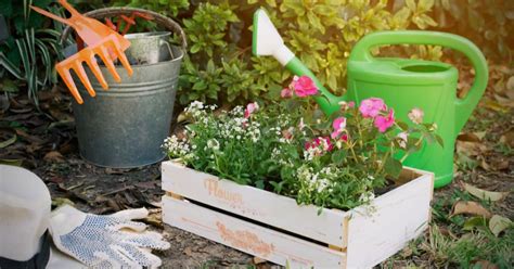 15 Budget-Friendly Garden Makeover Ideas | Garden Buildings Direct