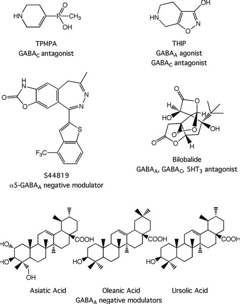 GABA A receptor antagonists that are not convulsants. | Download ...