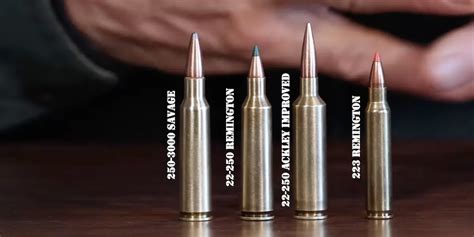 22-250 vs 223 Remington: Which is the best coyote caliber?