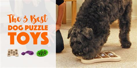 10 Dog Puzzle Toys Your Dog Will Be Depressed Without