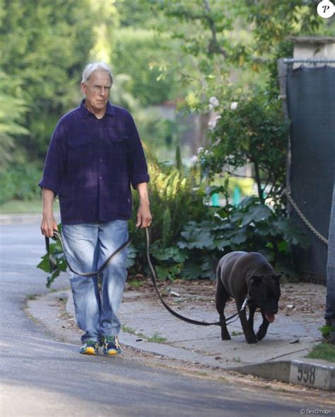 an older man walking his dog on a leash down the street in front of him