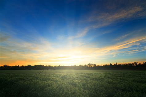 Free Sunrise on Fields Stock Photo - FreeImages.com