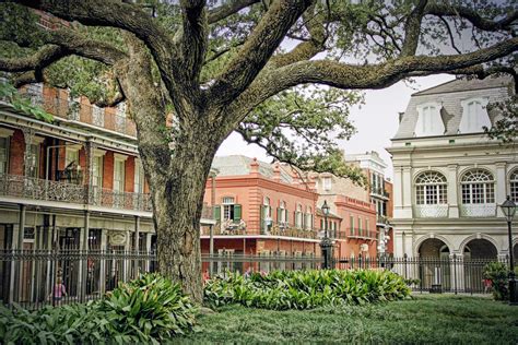 New Orleans Garden District with Cemetery Tour | Walks