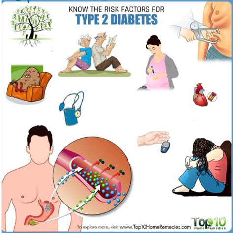 Risk Factors for Type 2 Diabetes Diagram | Quizlet