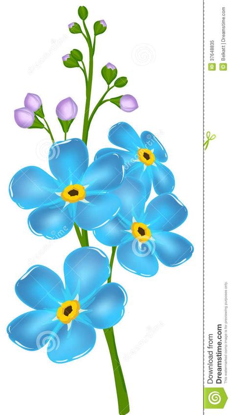 Illustration with forget-me-not flower | Flower illustration, Flower drawing, Flower art