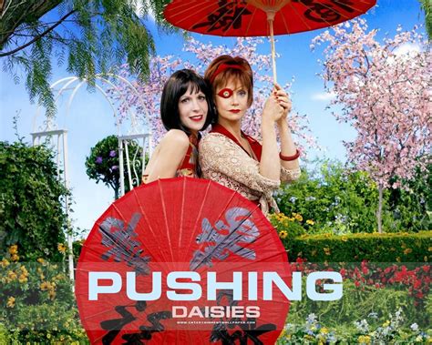 Pushing Daisies Cast - Pushing Daisies Wallpaper (791486) - Fanpop