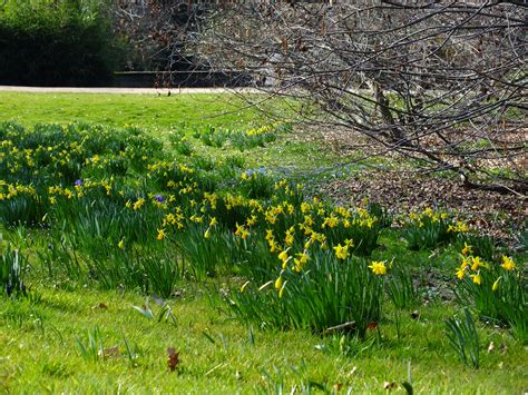 Palmengarten im Frühjahr 2014 – Volkersworld