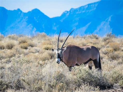 Things to Do at White Sands National Park - Our Wander-Filled Life