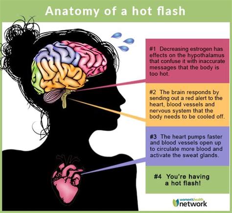 Hot flashes causes - tatacareers