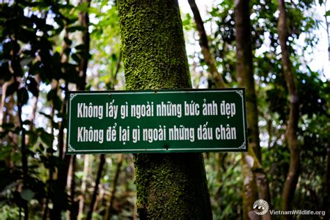 VQG Bạch Mã (Bach Ma National Park) – 08/2017 | Vietnam Wildlife