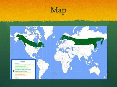 Northwest Coniferous Forest Map