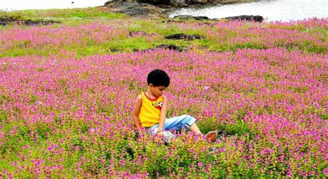 Valley of Flowers Roadtrip Kaas Pathar