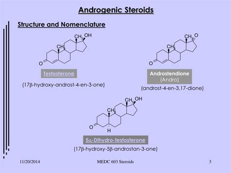 PPT - Androgenic Steroids PowerPoint Presentation, free download - ID ...