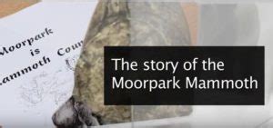 Learn more about the Moorpark Mammoth in this video produced by the ...