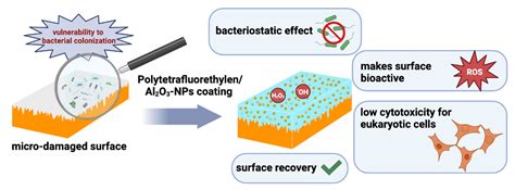 Polymers | Free Full-Text | A Polytetrafluoroethylene (PTFE) and Nano-Al2O3 Based Composite ...