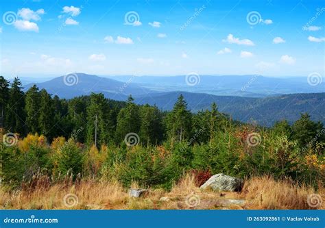 National Park Bayerischer Wald, Germany. Stock Image - Image of forest ...