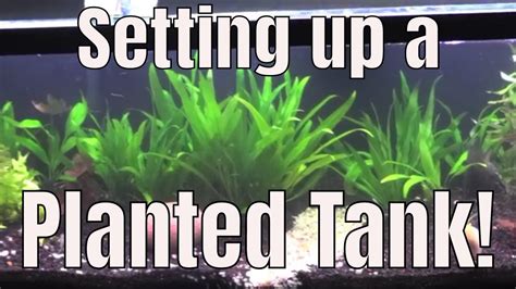 Setting up a 40 Gallon Planted Aquarium - #fishfam - YouTube