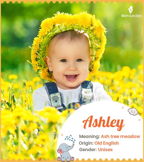 Ashley Name Meaning, Origin, History, and Popularity