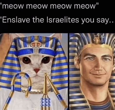 meow : r/HistoryMemes