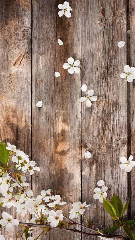 3840x2160px, 4K Free download | Rustic Flowers, aesthetics spring floor HD phone wallpaper | Pxfuel